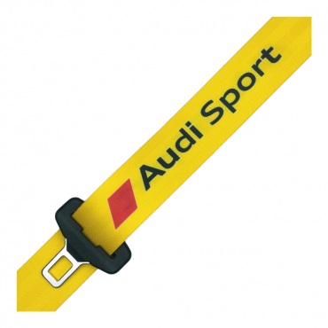 Custom Audi / Sport...