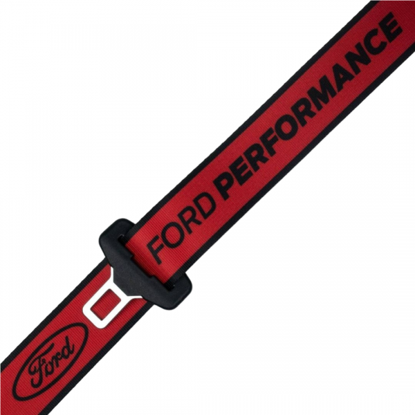 Custom Ford / Performance