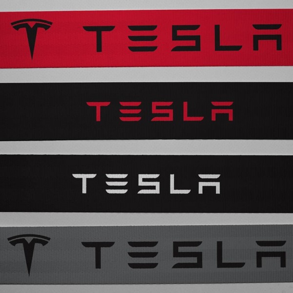 Custom Tesla